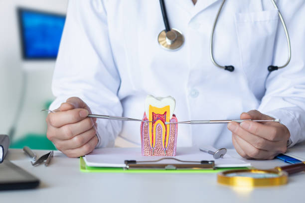 Best Emergency Gum Treatment in Paoli, IN